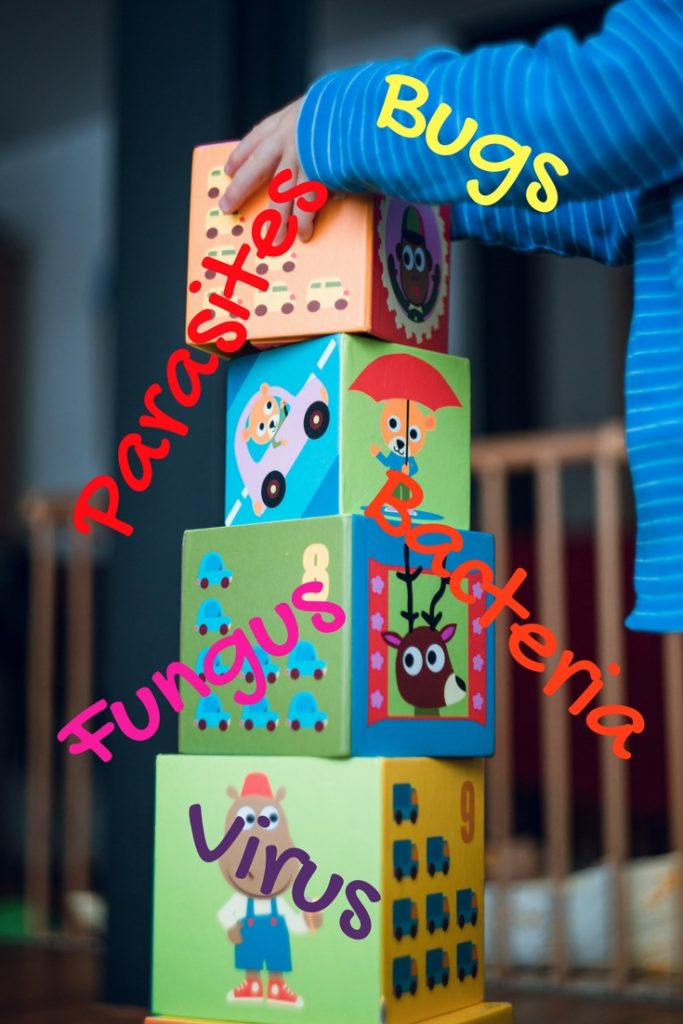 When Children Bring Bugs Home